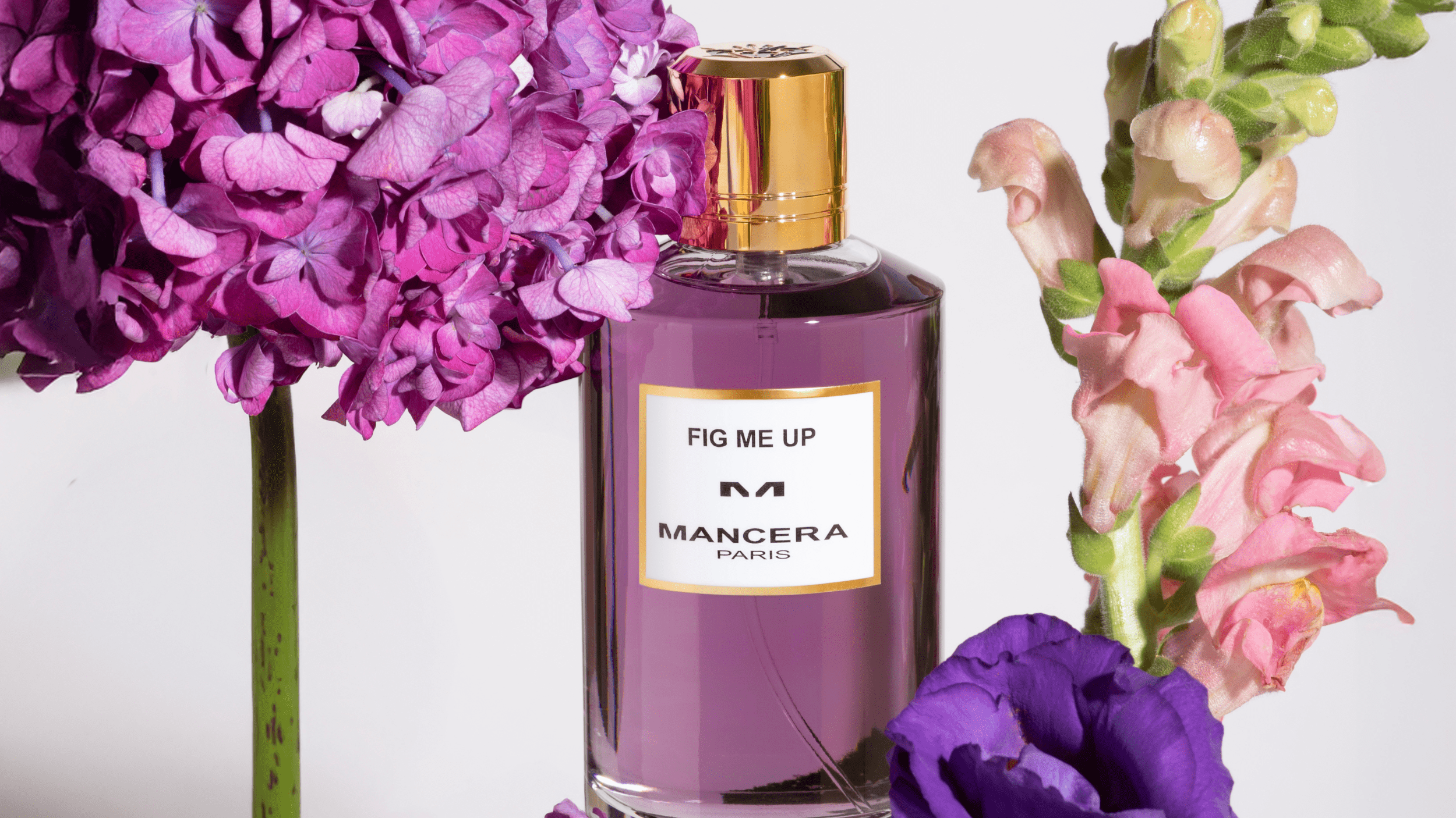 Distribuidor 5thEssence Sin titulo 800 x 450 px 1